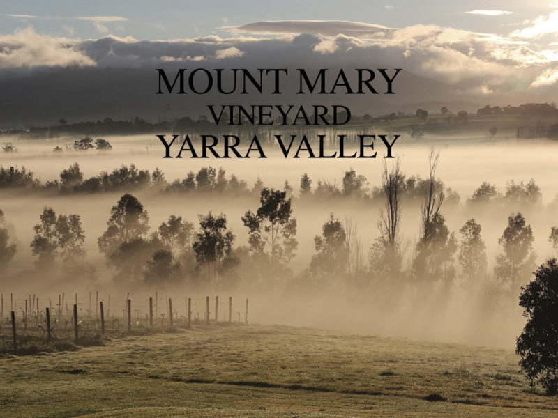 Mount Mary – Winery of the Year Mount Mary – Winery of the Year