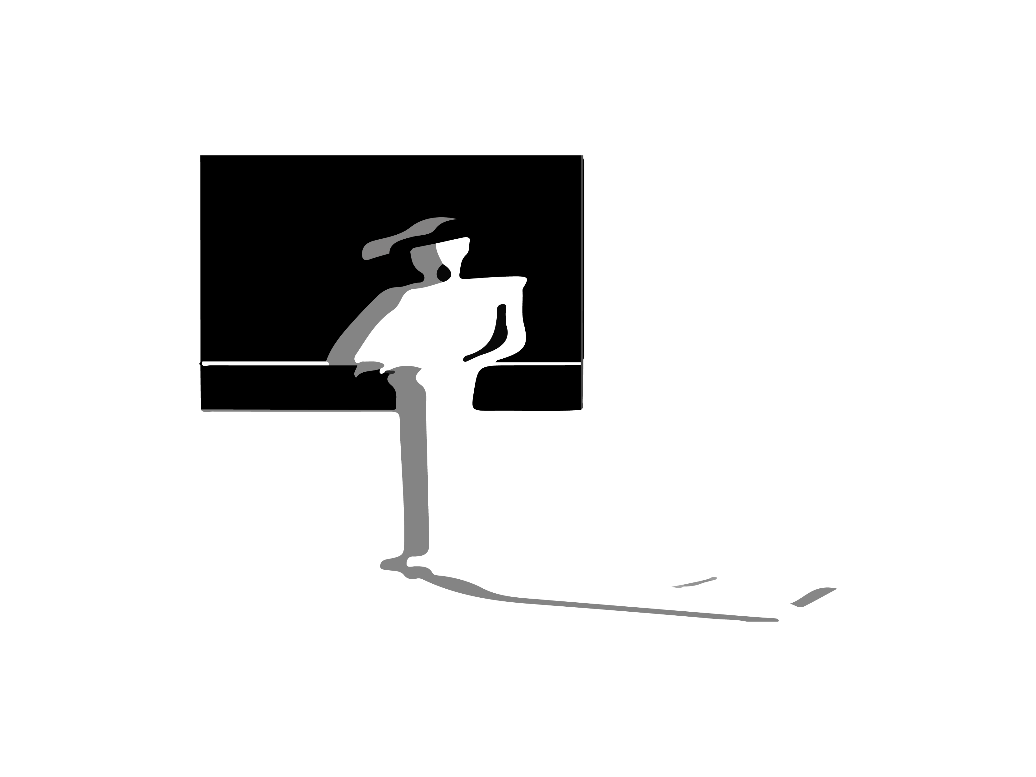 THE SPANISH ACQUISITION