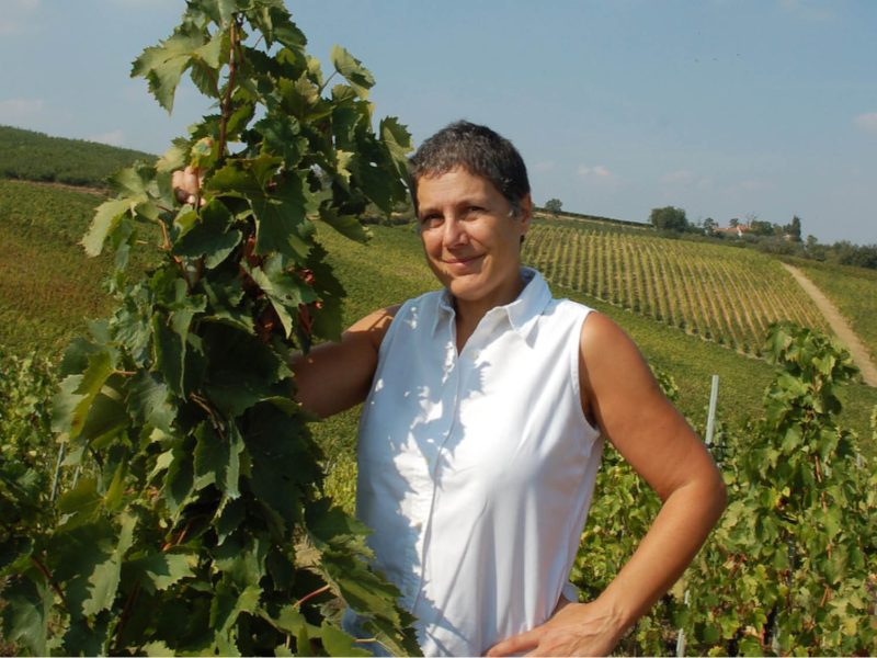 Fattoria Zerbina Fattoria Zerbina
