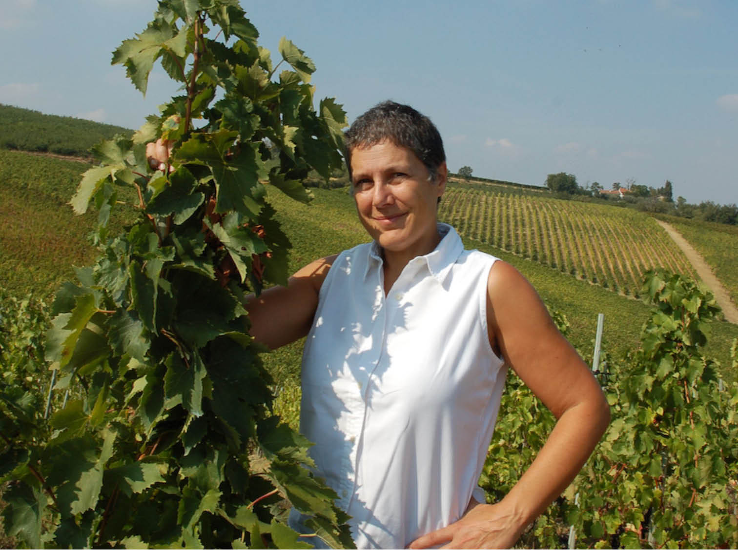 Fattoria Zerbina