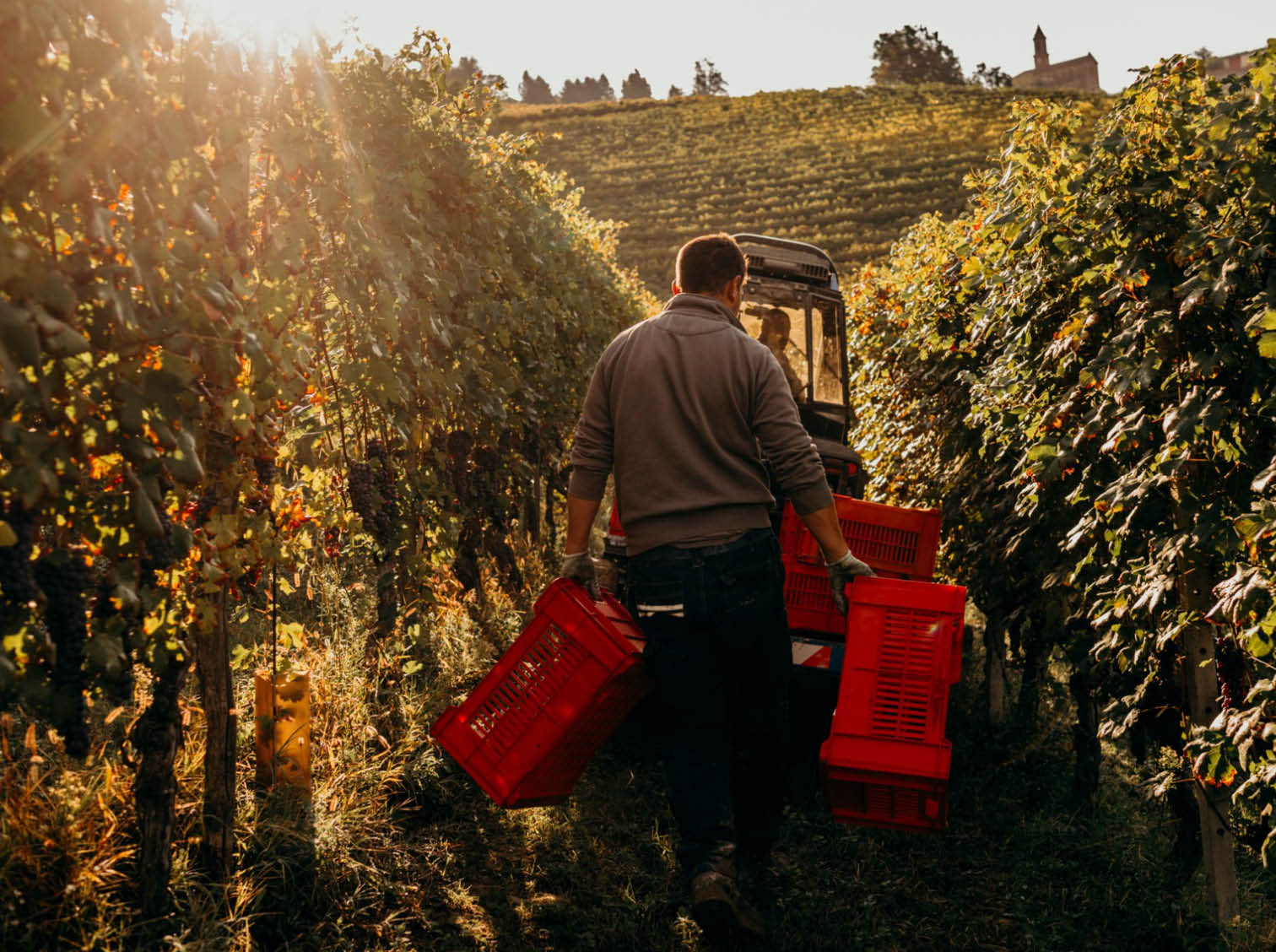 Reva Winery