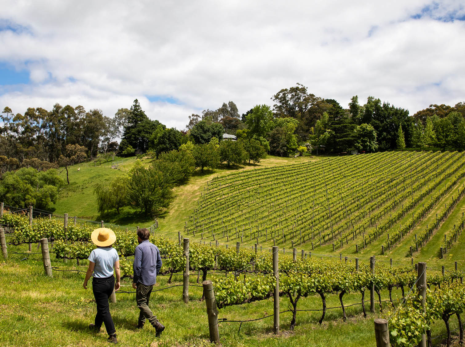 Gentle Folk Wine Gentle Folk Wine