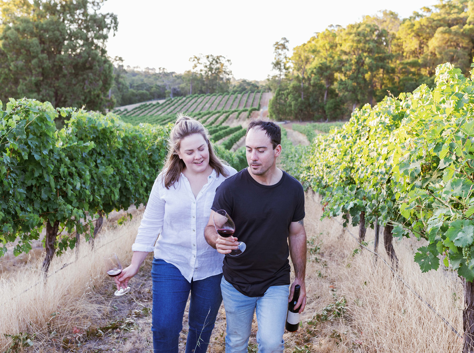 Fearon Wine Fearon Wine